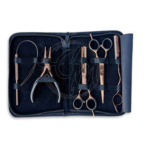 Complete Salon Hair Extension Tool Kit Pliers Hook <b>Needle</b> Rings <b>Beads</b> Thread For Professional Hair Extension Work - Product Image 2