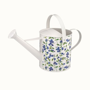 <b>Top</b> Arrival Customization Handmade Garden Products Sky Blue Watering Can Gardening and Watering Plants Customized Size - Product Image 6