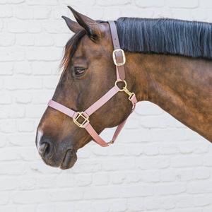 Equestrian Sports Products Horse Nylon <b>Halters</b> Customized Sizes Available in Cheap Price in Pakistan - Product Image 6