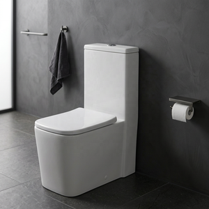 WC monobloc de style sud-américain en céramique à siphon, à double chasse, à poser au sol, pour salles de bain et projets extérieurs - Product Image 4