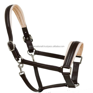 Equipo Ecuestre para Carreras de Caballos, Cabestro de Cuero Genuino Blanco Acolchado, Triple Costura, Duradero, Hecho a Mano, Tamaños Personalizados - Product Image 2