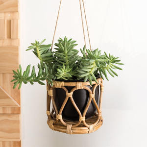 Essentiels de décoration végétale : pot suspendu en rotin, porte-fleurs, jardinières tissées naturelles, prix les plus bas - Product Image 1