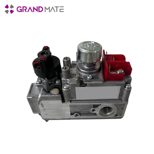 Válvulas de chimenea de gas OEM no estándar de temperatura normal - Product Image 3