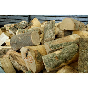 Bûches de bois tendres de haute qualité pour la fabrication de bois de charpente, bois naturel durable, parfait pour la production de fûts à vin, whisky et spiritueux - Product Image 2