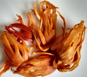 Épice de Mace en Promotion pour la Cuisine Gourmet, la Pâtisserie, les Sauces, les Soupes et les Plats Préparés – Disponible à Prix Abordable - Product Image 3