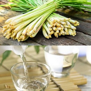 HUILE ESSENTIELLE DE CITRONNELLE BIOLOGIQUE 100ML VIETNAM |   ARÔME NATUREL D'AGRUMES ET D'HERBES - Product Image 3