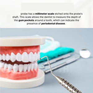 Sondas Quirúrgicas Dentales Más Vendidas, Sondas Dentales Manuales con Fuente de Alimentación, Sondas Dentales a Precio Económico - Product Image 6
