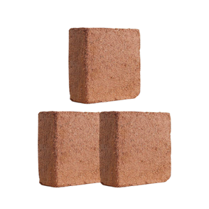 Producto estrella: fibra de coco para germinación de plantas, mejora del suelo, proporciona nutrientes para plantas, apto para todo tipo de plantas, el más vendido. - Product Image 1