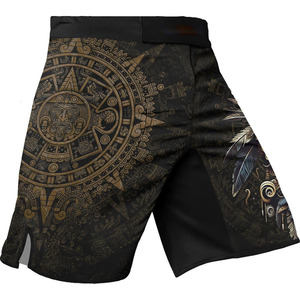 Pantalones Cortos de Entrenamiento MMA/BJJ Hechos a Medida con Tela Microelástica, Servicio OEM, Diseños de Logotipos Personalizados, 100% Poliéster, Secado Rápido - Product Image 5