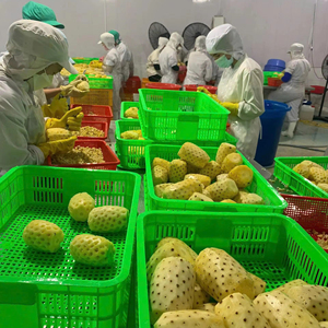 สับปะรดแช่แข็งเกรดพรีเมียม 2026 ลดราคาสุดพิเศษ - Product Image 1