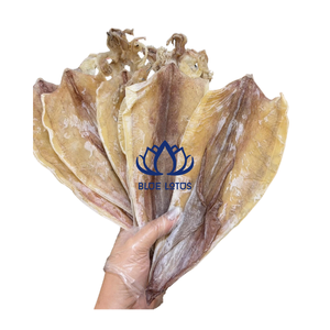 ปลาหมึกแห้งคุณภาพสูง ขายดีที่สุด อุดมด้วยโปรตีน อร่อย ดีต่อสุขภาพ อาหารทะเลแบบพรีเมียม ขายส่ง - Product Image 1
