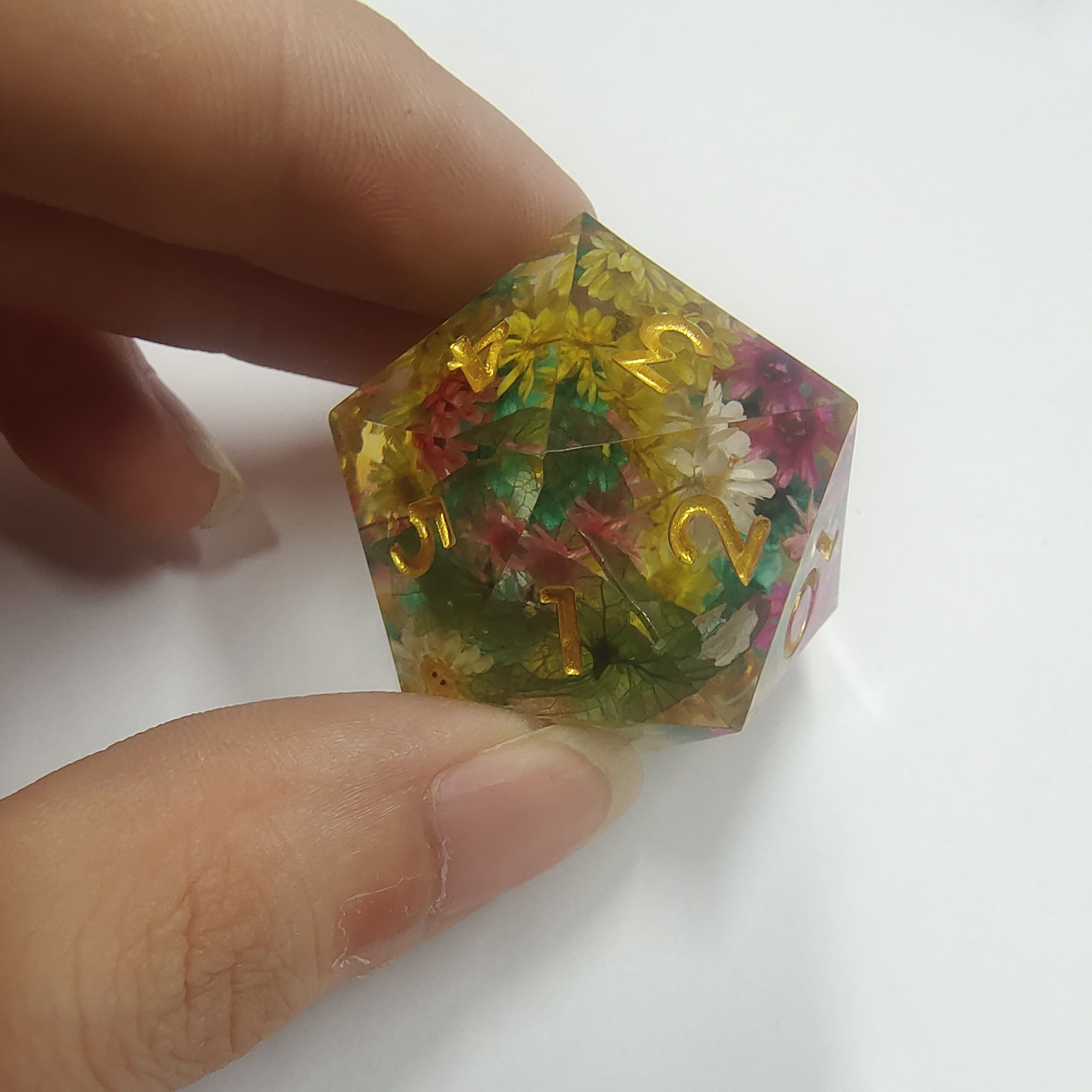 ฟลอเรียน สีสันสดใส