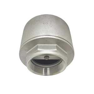 Chất Lượng Cao Cấp Nước Van 304 316 Trong Dòng Mùa Xuân Dọc Kiểm Tra 3 Inch Không Trở Lại Van Thép Không Gỉ Chân Van Cho Máy Bơm - Product Image 3