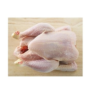 Pollo Entero Congelado Halal de Alta Calidad |   Pollo Congelado Entero y en Piezas Disponible para la Venta a Bajo Precio - Product Image 3