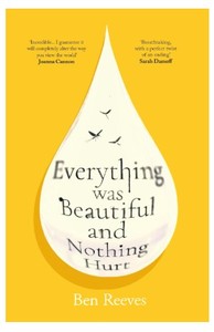 Everything Was Beautiful and Nothing Hurt by Ben Reeves Paperback Poetry <b>Inspirational</b> Literature <b>Book</b> Paperback - Product Image 2