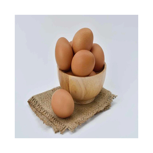 Huevos Frescos de Gallina de Granja/Huevos Frescos de Gallina para Incubar a Buenos Precios - Product Image 3