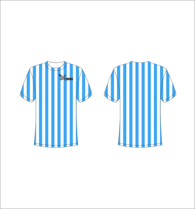 T-shirt personnalisé sublimé, imprimé intégral, motif rayures verticales bleues et blanches, unisexe, col rond, respirant, polyester, Ferocious Clo - Product Image 1