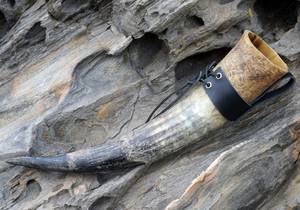 Cuerno Vikingo de Búfalo Hecho a Mano de Alta Calidad, Material Orgánico Ecológico, Estilo Animal Pulido, Sostenible - Product Image 4