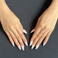Ongles réutilisables faits à la main, approvisionnement en gros, prix compétitif, sur commande, ODM, ongles réutilisables durables, finition lisse, réutilisables