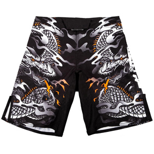Fighting Wear MMA Shorts for Men's Adult Size Shorts Customized New Style 100% Spandex\Polyester made Men's Shorts for Sale - Product Image 3