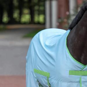 Nouvelles couvertures et couvertures pour chevaux imperméables, écologiques et légères, modèle 2026, en vente en ligne, au meilleur prix - Product Image 2