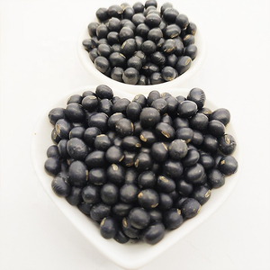 Fournisseur en gros de graines de soja noires de qualité supérieure, qualité alimentaire, stock disponible, meilleure qualité, service OEM, fabricant - Product Image 2