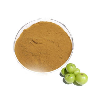 Extracto de Amla de la Mejor Calidad, 40% Natural, Polvo de Fruta de Emblica Officinalis para el Cuidado de la Piel, el Cabello y la Salud, Disponible para la Venta - Product Image 1