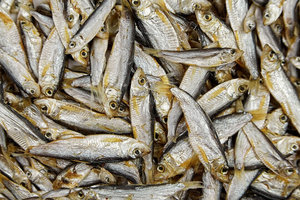 <b>Large</b> Capacity Vietnam Dried Fish Export & Dried Herring for Asian Market Wholesale - Product Image 2