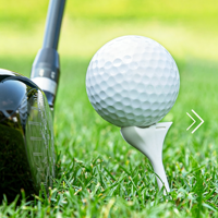Tee de golf durable incliné à 10 degrés avec flèche de visée, tee en bois de 83 mm de long, 20 pièces/boîte, vente en gros, accessoire de golf d'usine
