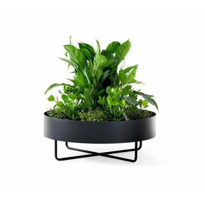Pot de fleurs en métal bleu au design élégant avec support noir, mini décoration pour la maison et le jardin, pots et jardinières en gros en Inde - Product Image 1