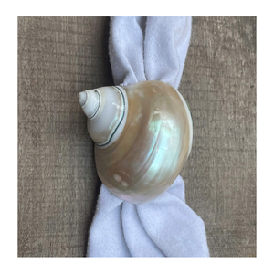 <b>Shell</b> Napkin Rings 1 Piece Handmade Durable Creative Style Irregular Shape Table Decoration Home & Restaurant Use From Viet Nam - Product Image 1
