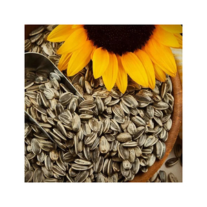 Graines de tournesol de qualité supérieure en gros à prix avantageux, non-OGM, biologiques, nourriture pour oiseaux, graines de tournesol noires - Product Image 4