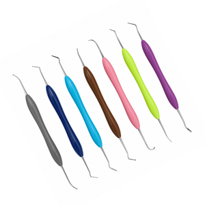 Juego de Instrumentos Dentales ErgoMax para Rellenos, 6 Piezas, Instrumentos Manuales de Acero Clase I, Equipos para Limpieza y Rellenos Dentales - Product Image 3