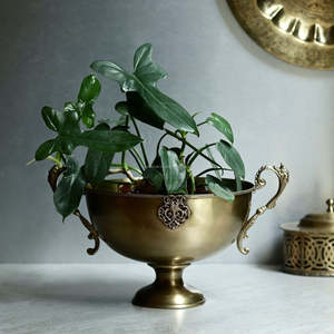 Customised Modern Home <b>Decor</b> Item Unique Brass Silver <b>Decorative</b> <b>Fruit</b> Bowl Eye-Catching Plant Pattern <b>for</b> Christmas Ramadan - Product Image 6
