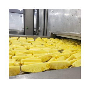 EXPORTATION DE FRUITS ET LÉGUMES CONGELÉS EN GRANDES QUANTITÉS-LE MEILLEUR CHOIX POUR VOUS/Mme Thi - Product Image 4