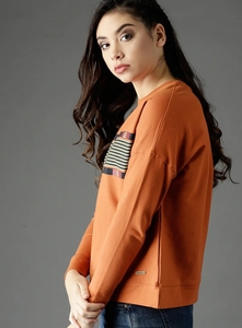 Sweat-shirt à col rond orange pour femme, 100% coton, tricoté, respirant, coupe classique, couleur unie, manches longues, automne - Product Image 3