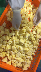 100% IQF Frozen Pineapple Premium Chunks, Slices & <b>Diced</b>, Made in Vietnam - Product Image 4