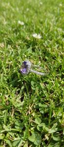 Anillo de compromiso de lujo para niños cristianos con doble halo, corte ovalado, engaste de garras y diseño de alas, para aniversario de boda, en plata. - Product Image 4