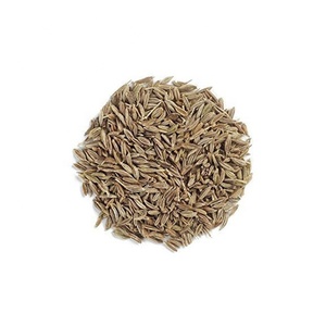 Vente en gros de graines de cumin au four d'Inde Nouvel assaisonnement à épice unique à bas prix directement de l'usine - Product Image 6