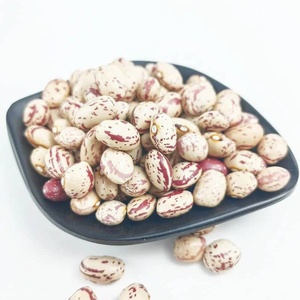 Light Speckled Kidney <b>Beans</b> Dried Long Shape Sugar <b>Beans</b> Bulk <b>Bagged</b> Food Use - Product Image 3