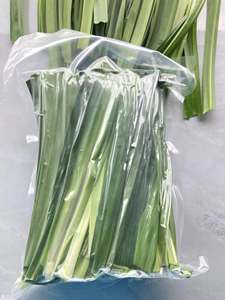 Poudre de feuilles de Pandan saveur verte naturelle de haute qualité prix bon marché approvisionnement en vrac en provenance du Vietnam - Product Image 3