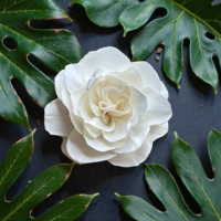 VADEE Kerajinan Tangan Bunga Kayu Sola Ivory Grace Bloom Ramah Lingkungan 8.5 CM Batang Serat Tanaman Sesbania Thailand