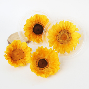 ดอกทานตะวันอบแห้งขนาด 9-10 ซม. ขายส่ง สำหรับงาน DIY และจัดดอกไม้ วันแม่ วันวาเลนไทน์ - Product Image 2