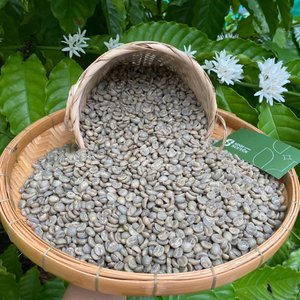 เมล็ดกาแฟอาราบิก้าพรีเมียมเกรดซินห์ นกุ้ย 60 กก. บรรจุถุงใหญ่ ล้างสะอาด ไม่ผ่านกระบวนการคั่ว ค่าคะแนนสูง สำหรับร้านค้าส่งกาแฟคั่วพิเศษ - Product Image 1
