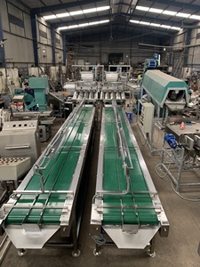 Convoyeur de tri automatique de noix de cajou TTQ, bande de qualité alimentaire de 6 m, capacité de 1000 kg, 220 V/380 V pour ligne de transformation de noix de cajou - Product Image 2