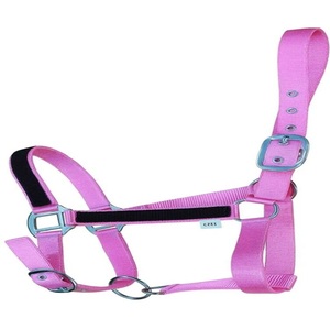 Custom Made Thick Pink Nylon Webbing Lightweight Nylon Horse <b>Halter</b> with Adjustable Stainless Steel Hardware - Product Image 3
