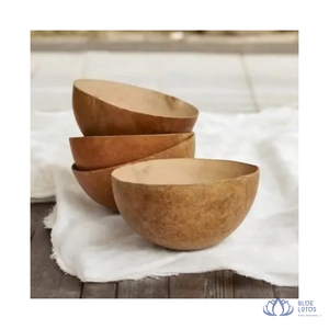 [TOP RATED] Gourd Shell <b>Bowl</b> Handcrafted Bohemian Design Eco-Friendly Camping Vessel for Tabletop Decor Soup Salad Dish Blue - Product Image 1