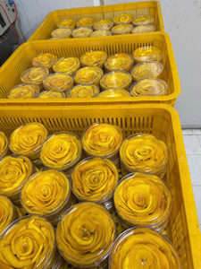 มะม่วงอบแห้งธรรมชาติแบบนิ่ม รสเปรี้ยว ขนมผลไม้เมืองร้อน เนื้อมะม่วงเคี้ยวหนึบ บรรจุภัณฑ์ของขวัญแบบแพ็คใหญ่ ขายส่งจากเวียดนาม คุณภาพพรีเมียม - Product Image 3