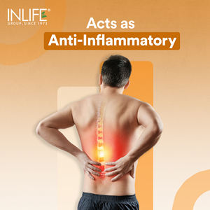 Extracto de Ashwagandha INLIFE (Withania Somnifera) >7% Anolides, Suplemento Ayurvédico 500mg, 60 Cápsulas Vegetarianas, Certificado GMP - Product Image 2