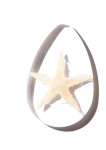 Starfish Real Specimen Plastic Cabochon Pear Cut <b>Top</b> 46x30 mm Clear Flat Bottom for Crafts and Jewelry Making - Product Image 3